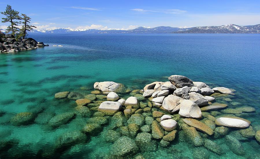  Lake Tahoe Spring Clarity Photograph by Sean Sarsfield