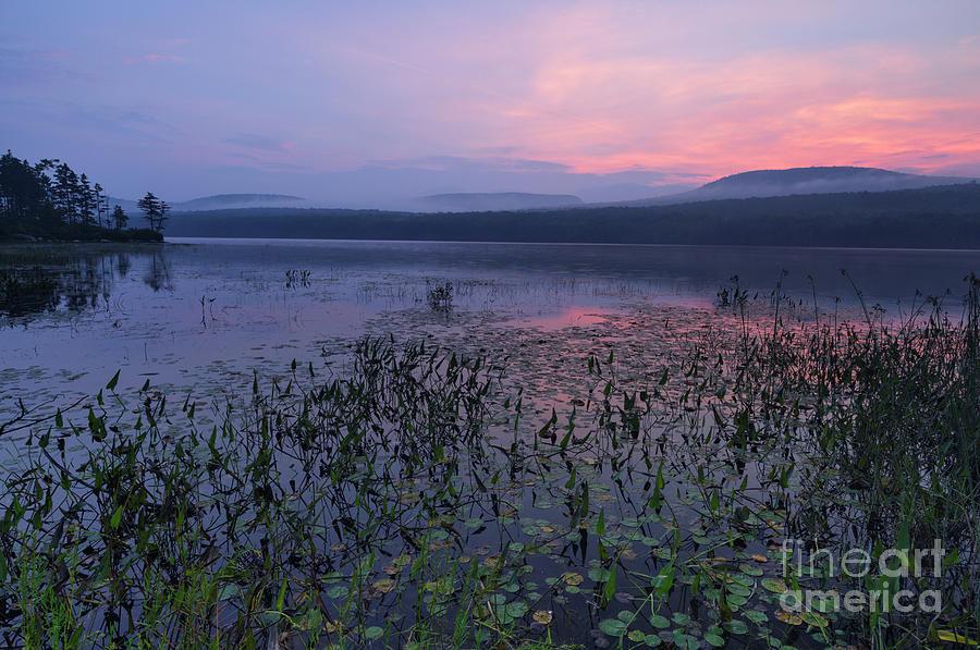 Mountain Photograph - Lake Tarleton - Piermont New Hampshire by Erin Paul Donovan