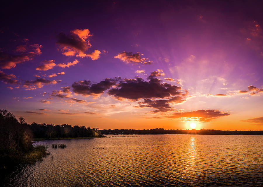 Lake Tarpon Sunset Photograph by Marvin Spates