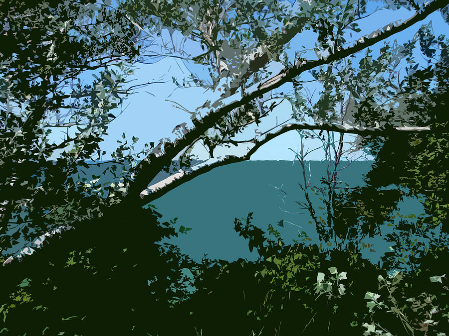 Lake Michigan Photograph - Lake Through the Trees by Michelle Calkins