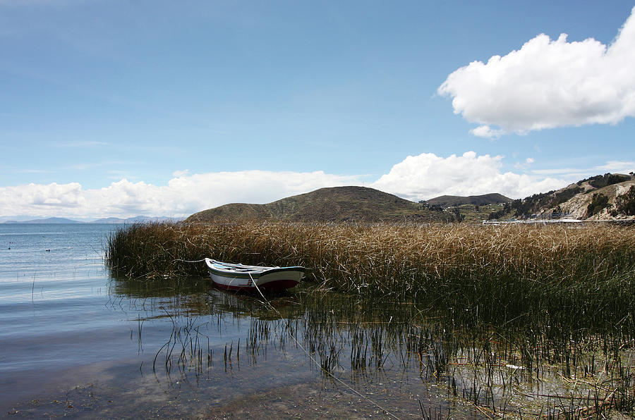 Lake Titicaca, Bolivia Photograph by Aidan Moran