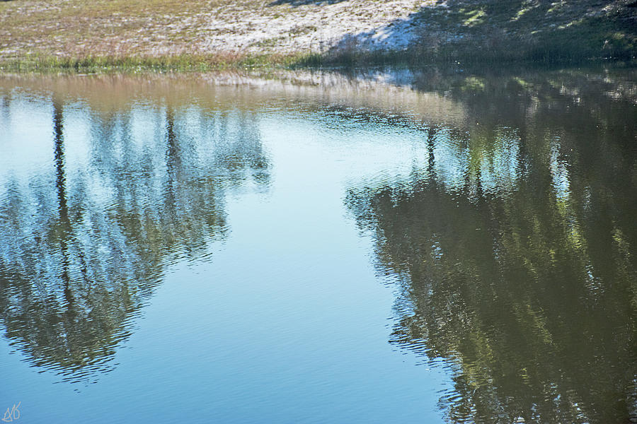Lake Trees Reflection Photograph