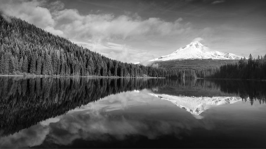 Lake Trillium in black and white Photograph by Lynn Hopwood