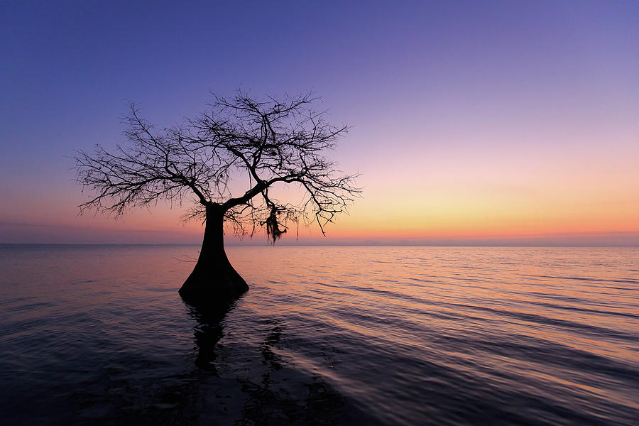 Lake Twilight Photograph by Stefan Mazzola