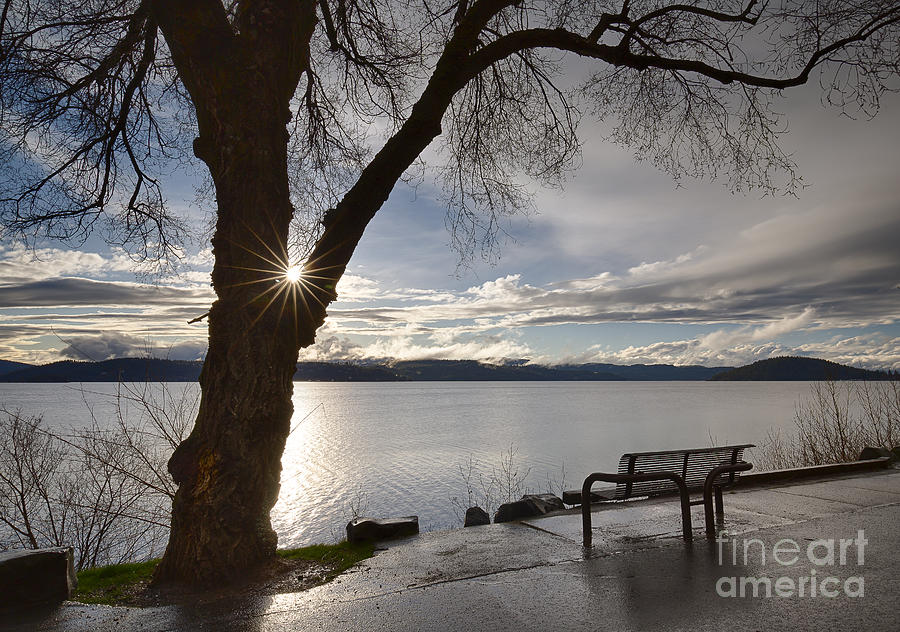 Lake View Photograph by Idaho Scenic Images Linda Lantzy
