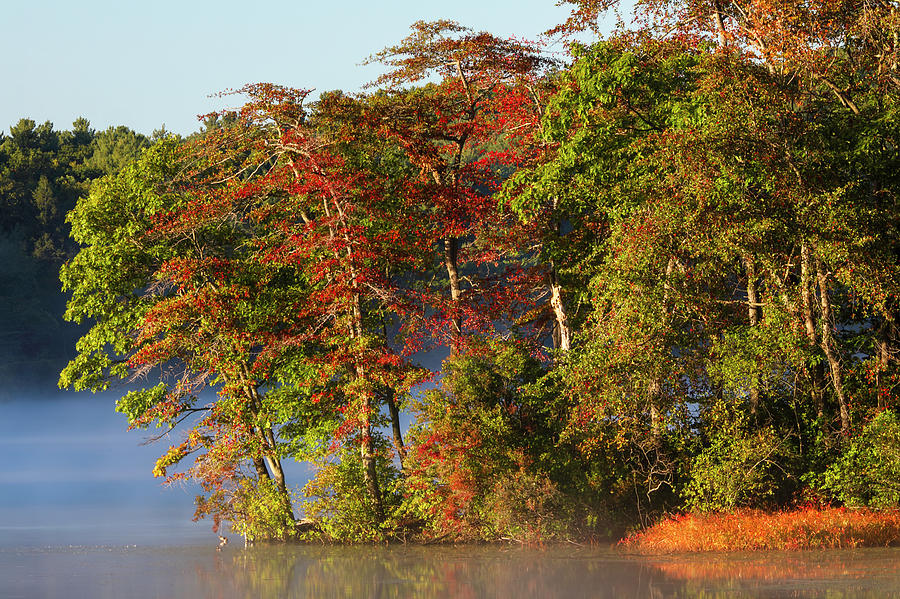 Lake Waban Fall Foliage Photograph by Juergen Roth