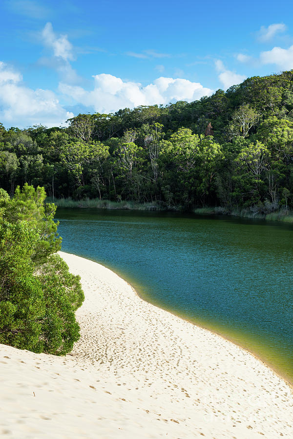 Lake Wabby, Fraser Island Photograph by Andrew Michael