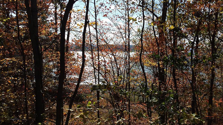 Lake Wallenpaupack Through The Trees Photograph by Judith Rhue