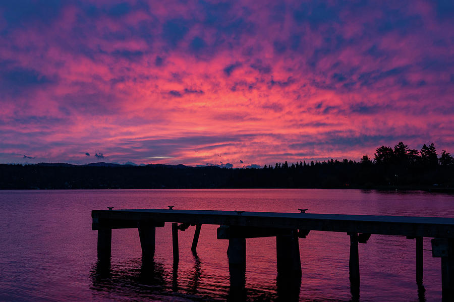 Lake Washington Sunrise Photograph by Pamela S Eaton-Ford