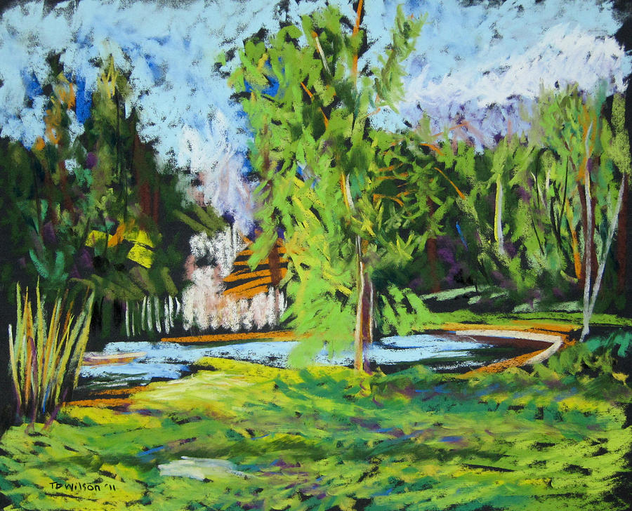Lake with cedar by TD Wilson Lake with cedar by TD Wilson