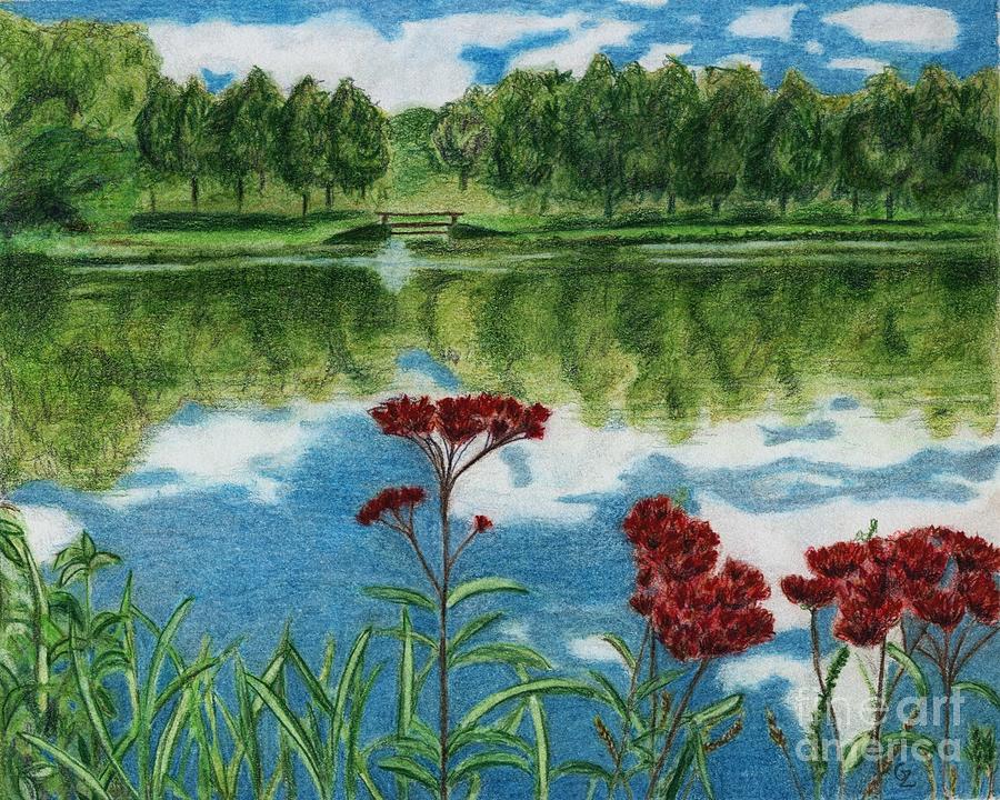 Lake with Red Flowers Drawing by Glenda Zuckerman