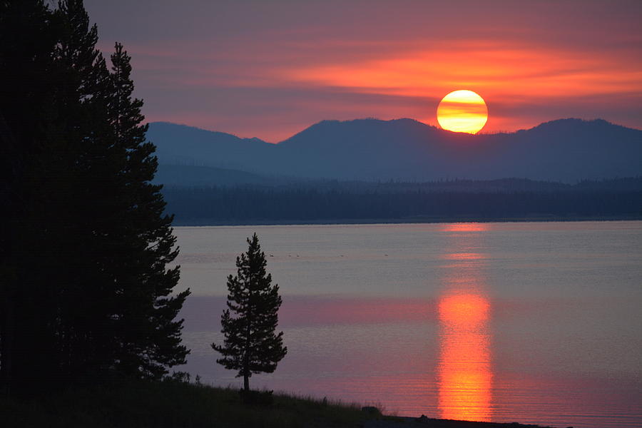 Lake Yellowstone Sunrise Photograph by Sonja Bratz | Fine Art America