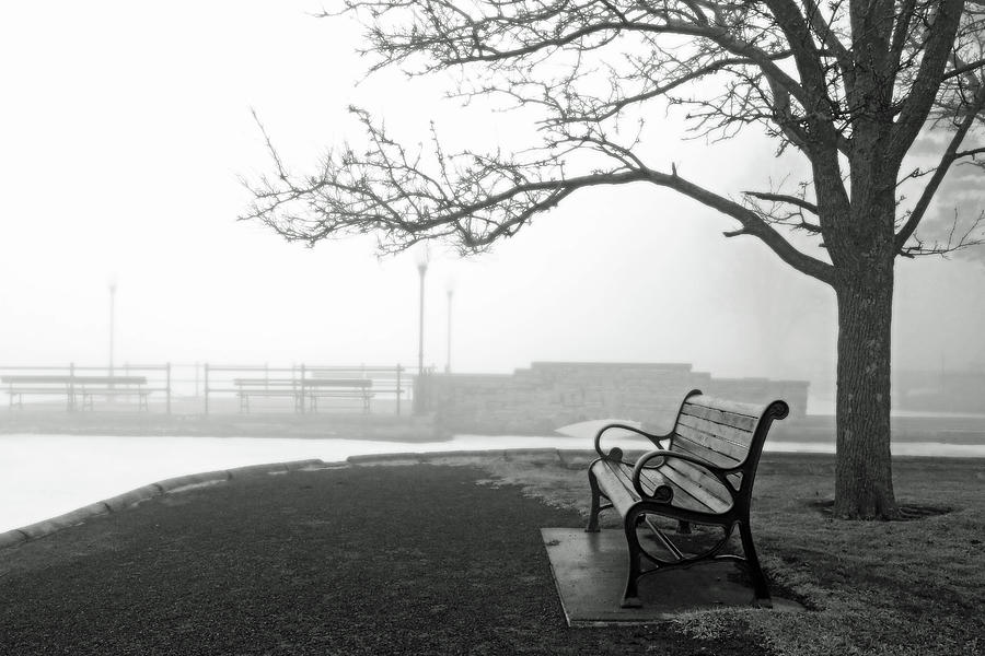 Lakeland Park Bench, Cazenovia Photograph by Brooke T Ryan
