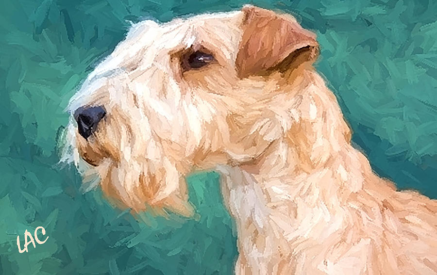 Lakeland Terrier Painting by Doggy Lips