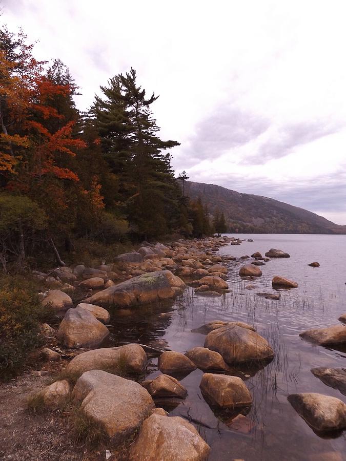 Lakes Edge Photograph by Jennifer Bowring - Fine Art America