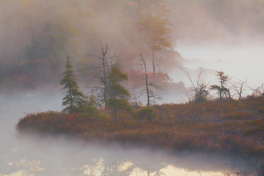 Lakeshore In Mist Photograph by Irwin Barrett