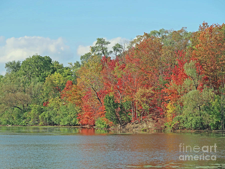 Lakeside Autumn Photograph by Ann Horn