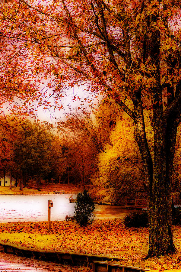 Tree Photograph - Lakeside Autumn by Barry Jones
