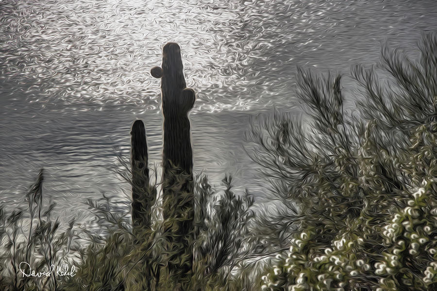 Nature Photograph - Lakeside Cactus by David Kehrli