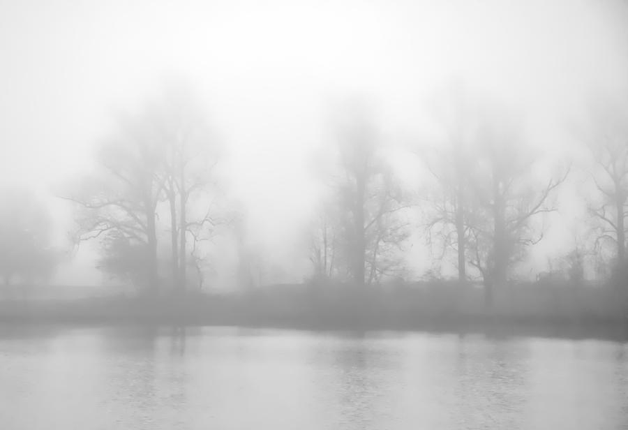 Lakeside Giants in Fog Photograph by Greg Jackson