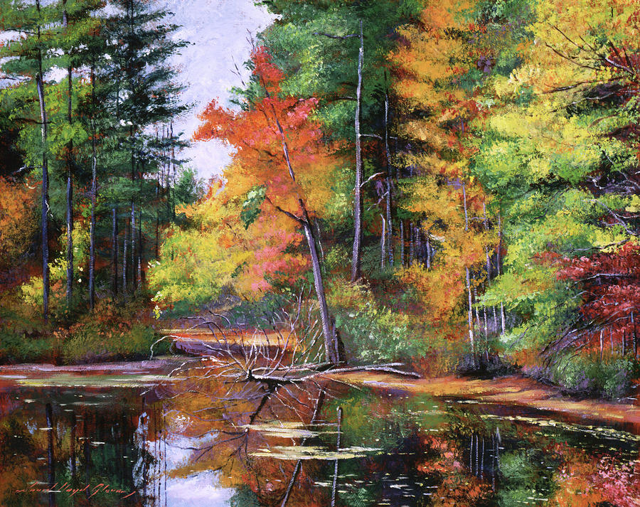 Lakeside Reflections Painting by David Lloyd Glover