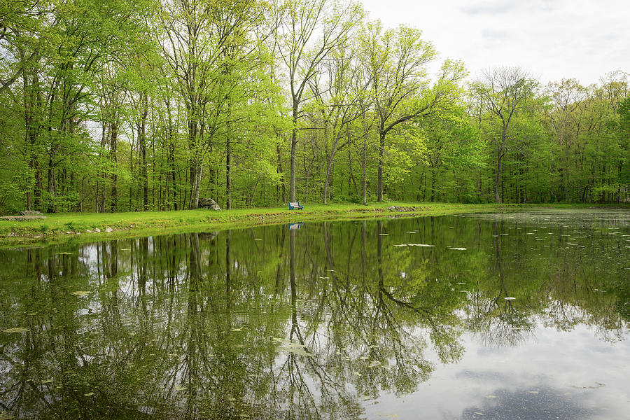 Lakeside Serenity in Pennsylvania Photograph by Daniel Portalatin Pixels