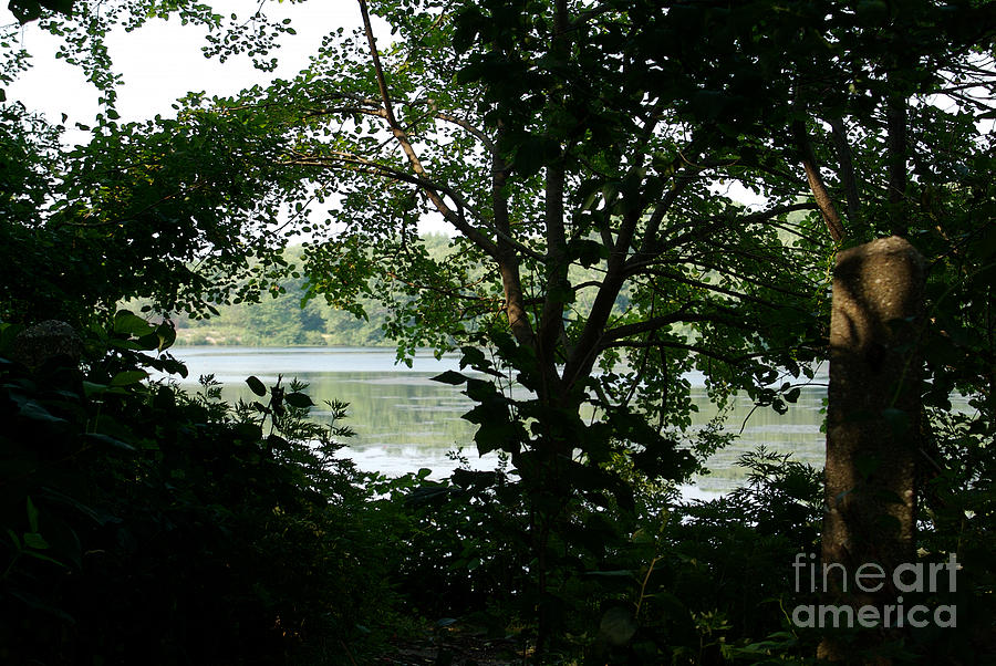 Lakeside Silhouette by J Bloomrosen Lakeside Silhouette by J Bloomrosen