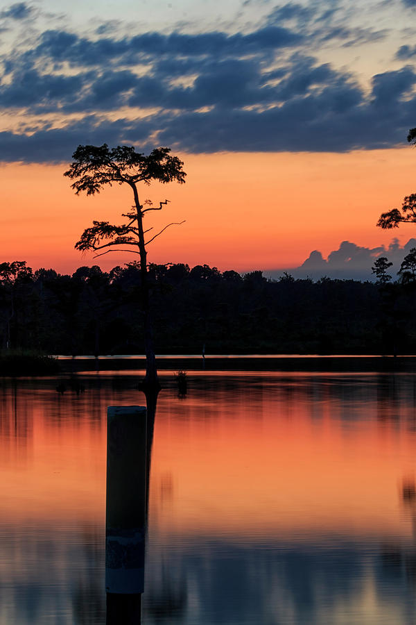 Lakeside Twilight Photograph by Travis Rogers
