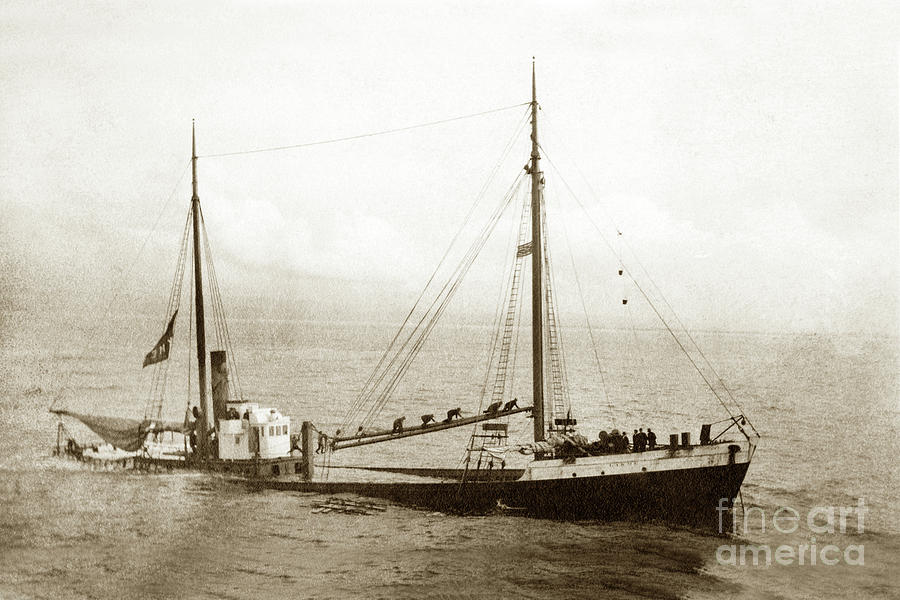 Lakme Photograph - LAKME wooden steam schooner  January 19, 1911 by Monterey County Historical Society