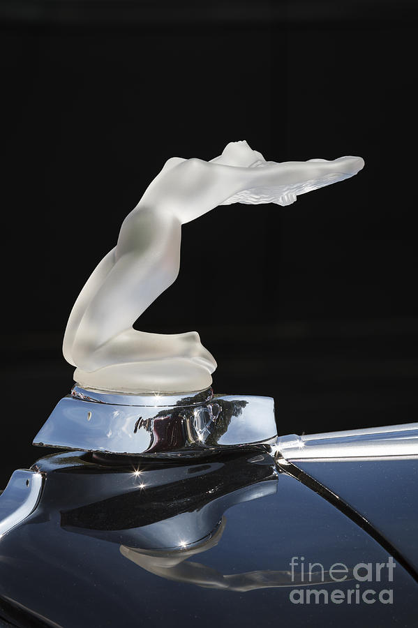 Lalique Chrysis Hood Ornament Photograph by Dennis Hedberg