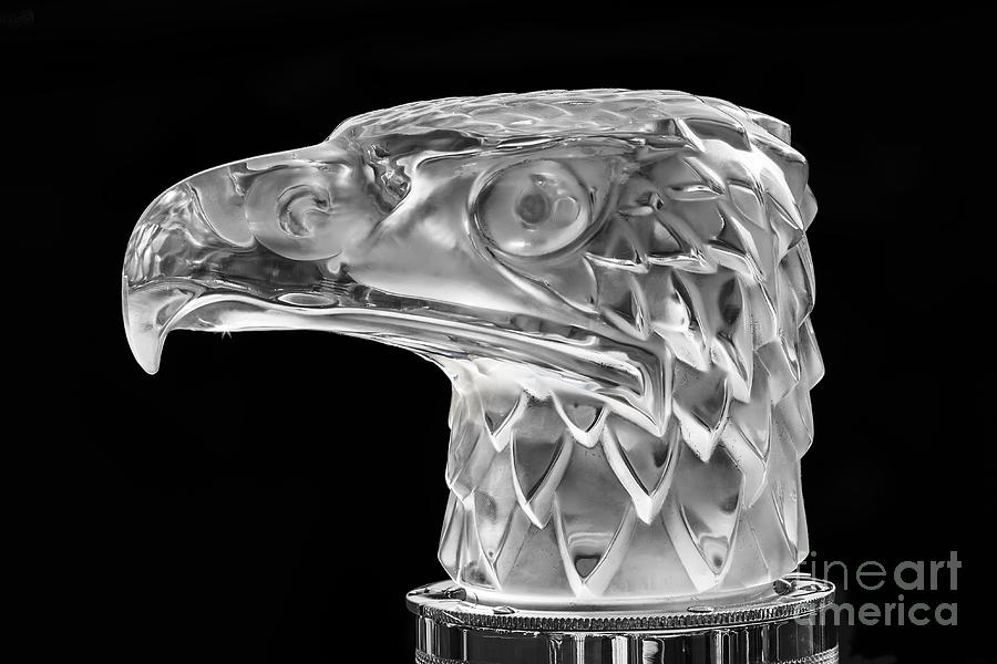 Lalique Eagle Hood Ornament Photograph by Dennis Hedberg