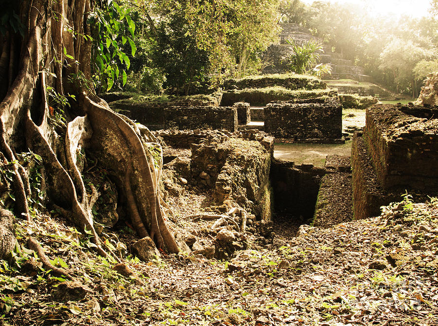 Lamanai Mayan ruins of Belize Photograph by Tatiana Travelways