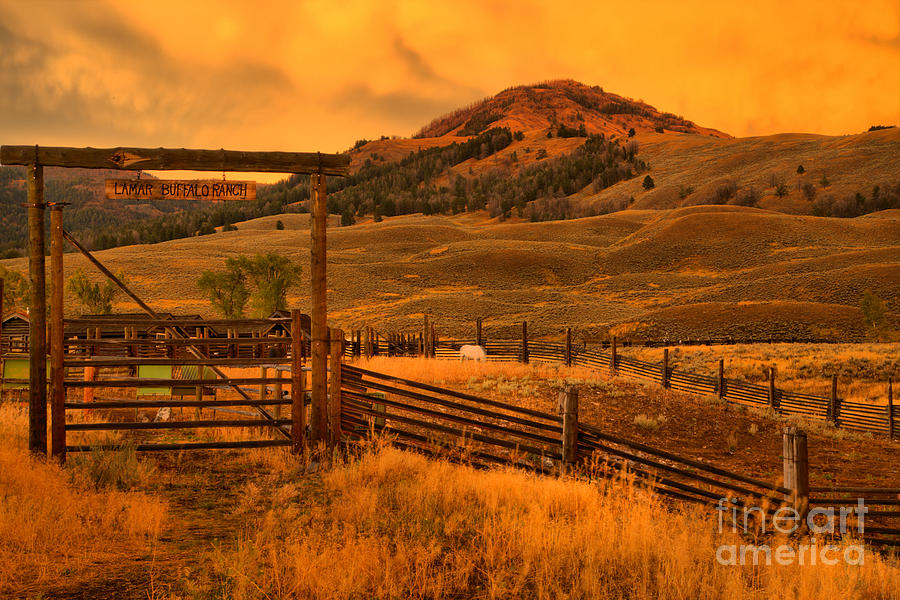 Lamar Bison Ranch Sunset Photograph by Adam Jewell