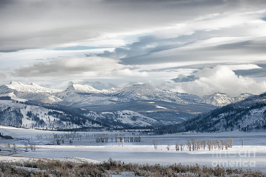 Lamar Valley Afternoon Photograph by Sandra Bronstein