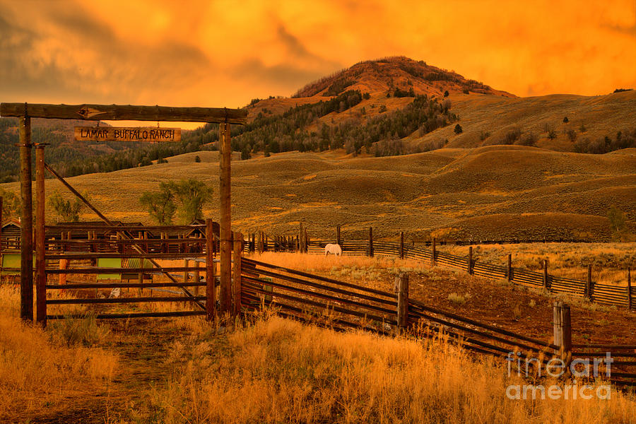 Lamar Valley Bison Ranch Sunset Photograph by Adam Jewell