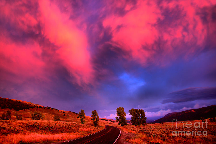 Lamar Valley Pink Summer Skies Photograph by Adam Jewell