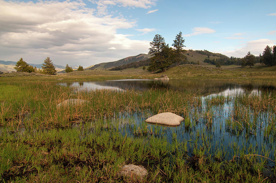 Yellowstone National Park Photograph - Lamar Valley Pond by Steve Stuller