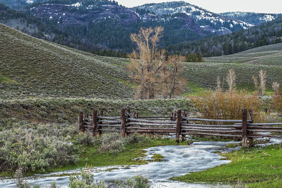 River Photograph - Lamar Valley Stream by Paul Freidlund River Photograph - Lamar Valley Stream by Paul Freidlund