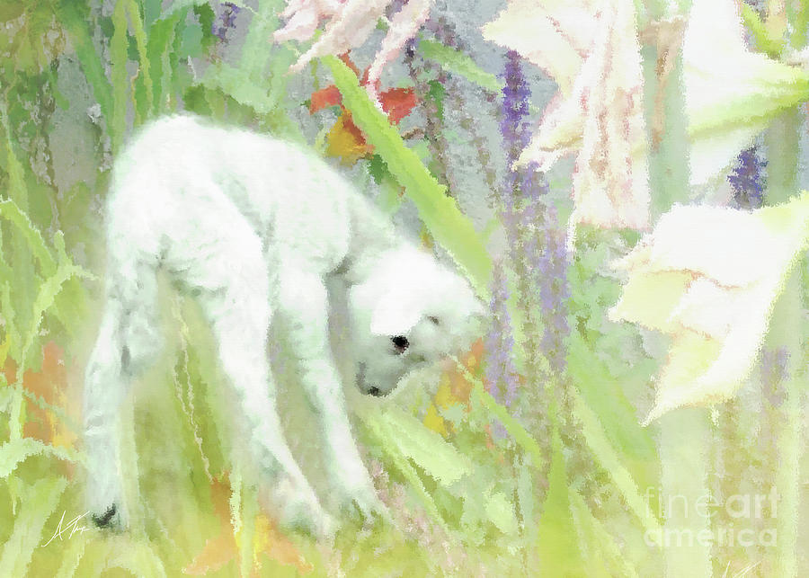 Lamb And Lilies Digital Art