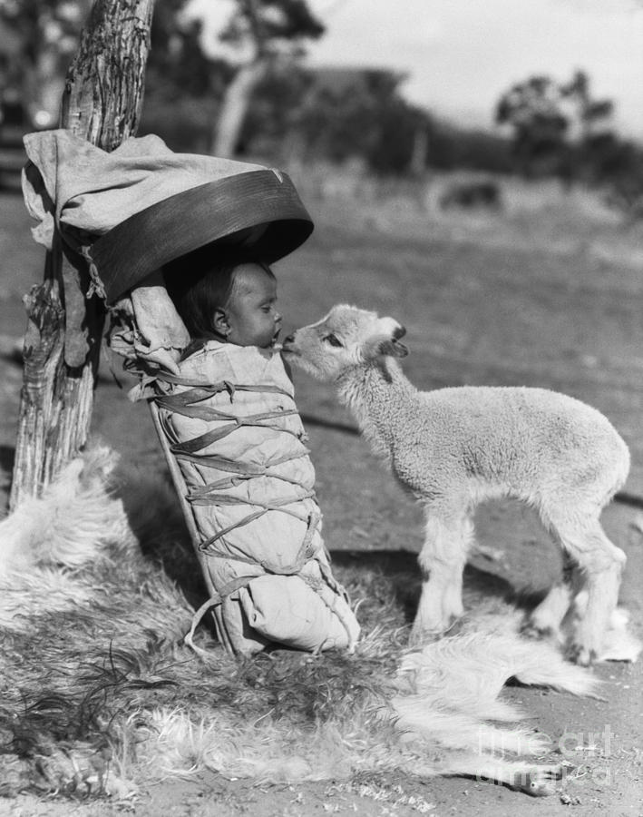 Lamb Approaching Navajo Baby Photograph by H. Armstrong Roberts/ClassicStock