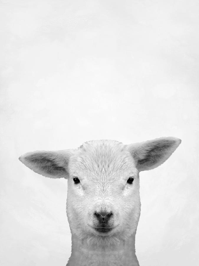Lamb - by Lucie Dumas Mixed Media by Lucie Dumas