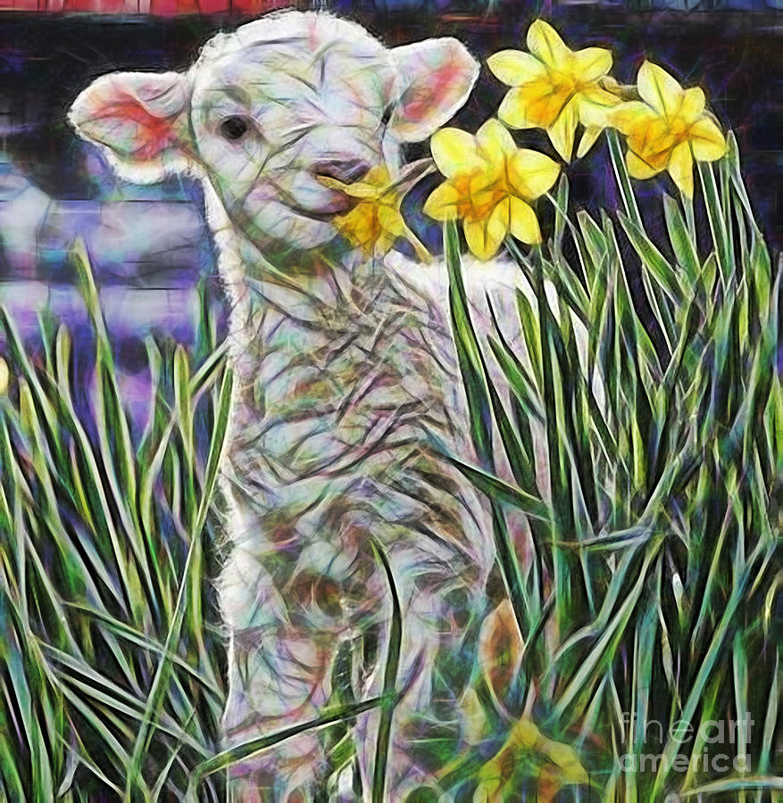 Wildlife Mixed Media - Lamb Collection by Marvin Blaine