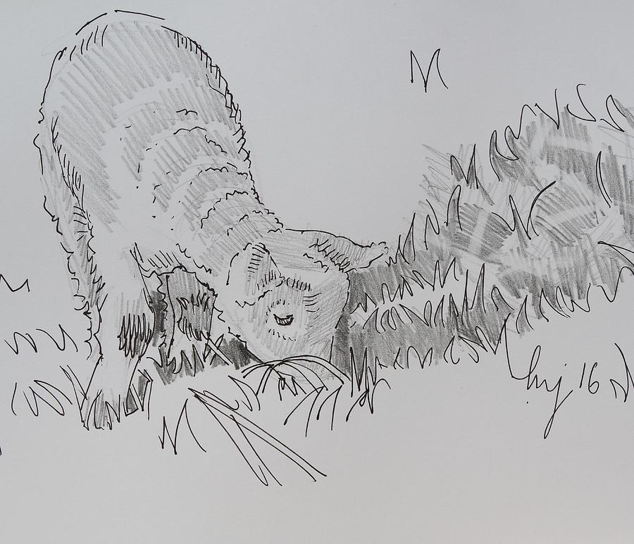 Lamb Pencil Pencil Drawing - Lamb Grazing Drawing by Mike Jory