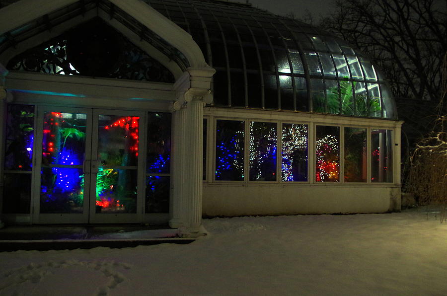 Lamberton Conservatory at Night Photograph by Mary Courtney
