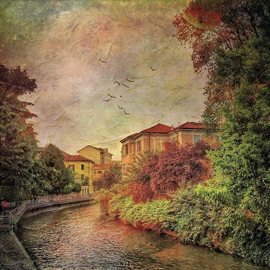Landscape Photograph - Lambro #river In Monza #instagram by Roberto Pagani