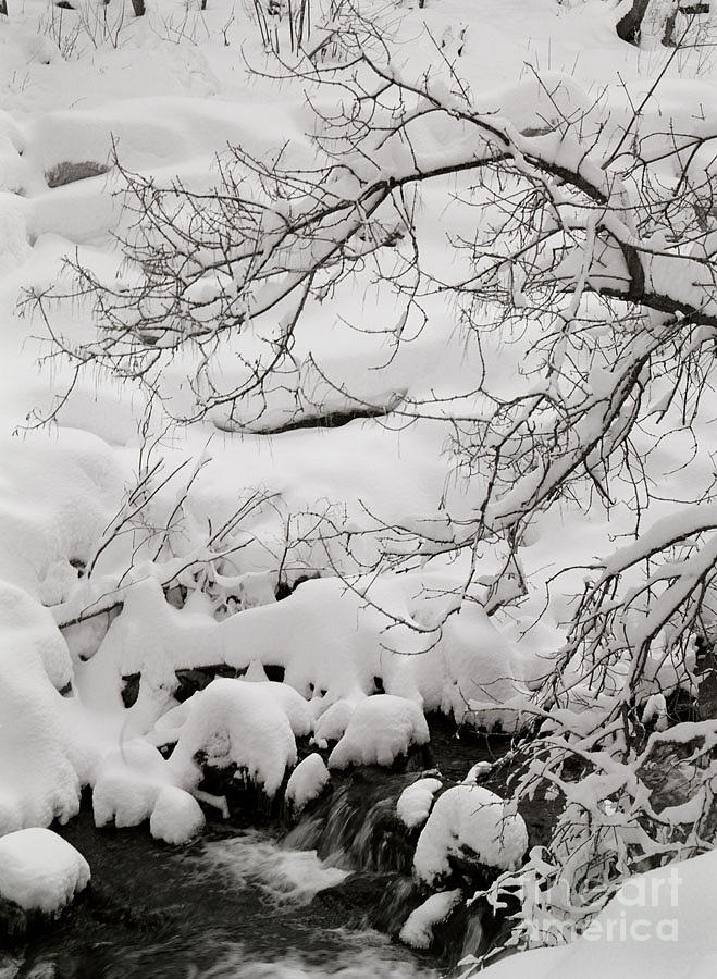 Utah Photograph - Lambs Canyon in Winter by Dennis Hammer Utah Photograph - Lambs Canyon in Winter by Dennis Hammer