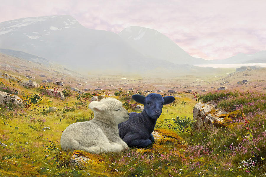 Lambs on a Hillside Painting by M Spadecaller