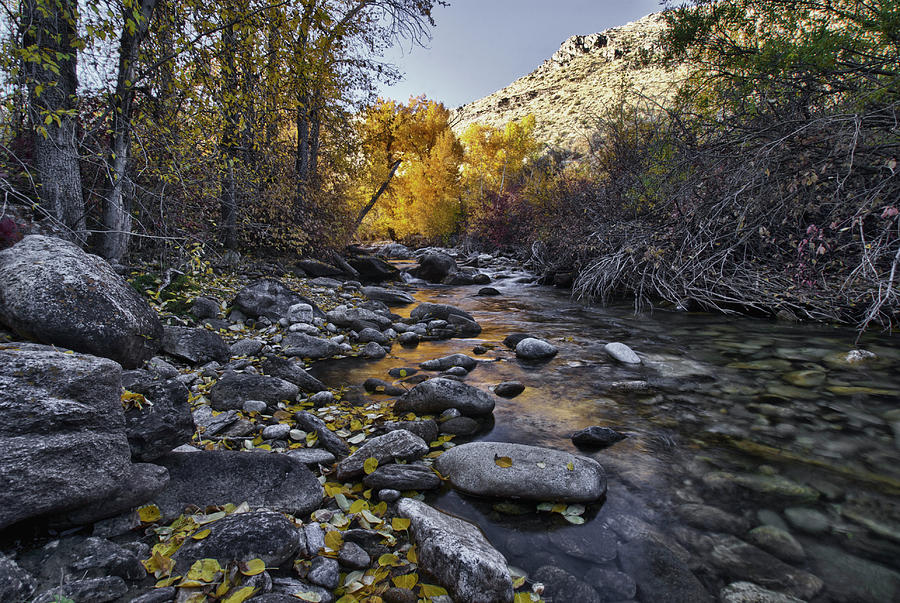 Lamoille Creek Eastern Nevada Photograph by Donald Pash
