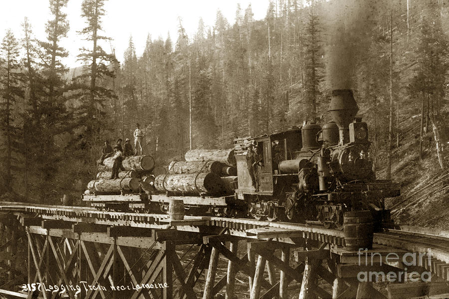 Train Photograph - LaMoine Lumber and Trading Co. No. 1 circa 1907 by Monterey County Historical Society