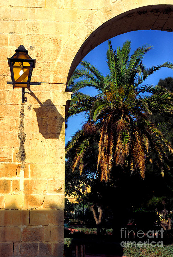Lamp Photograph - Lamp and Palm Upper Barracca Gardens by Thomas R Fletcher